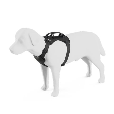 Thule Cappy dog harness