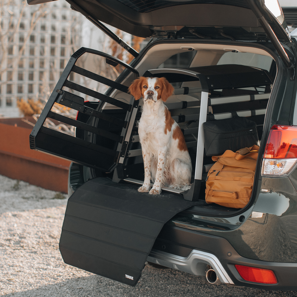 A brown and white dog sits inside a Thule Allax dog crate that has a Thule dog crate mat.