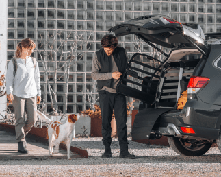 A man in a forest is opening a dog crate in his car and his dog is preparing to jump out.