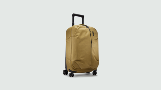 Carry on luggage.